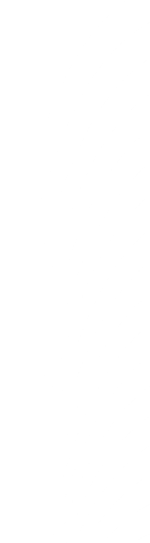 شیپ راست