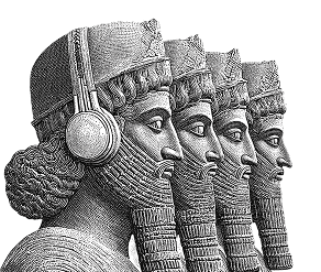 پشتیبانی حرفه ای و سریع تیم مای پراپ 
