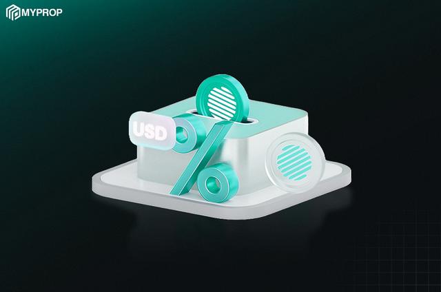 پراپ فرم برای چه کسانی مناسب است؟ (مبتدی یا حرفه‌ای؟) | راهنمای تشخیص سطح