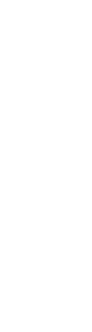 شیپ راست