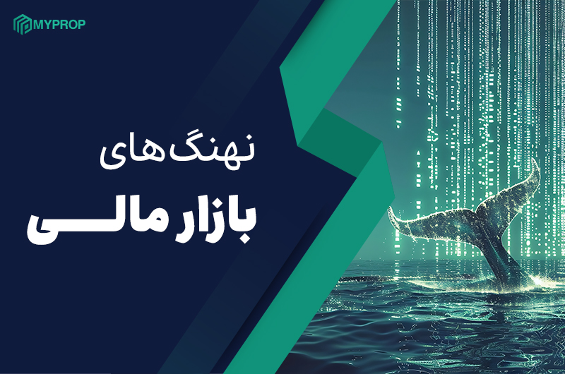 نهنگ بازار مالی چیست؟ تأثیر و نقش آن در بازارهای مالی